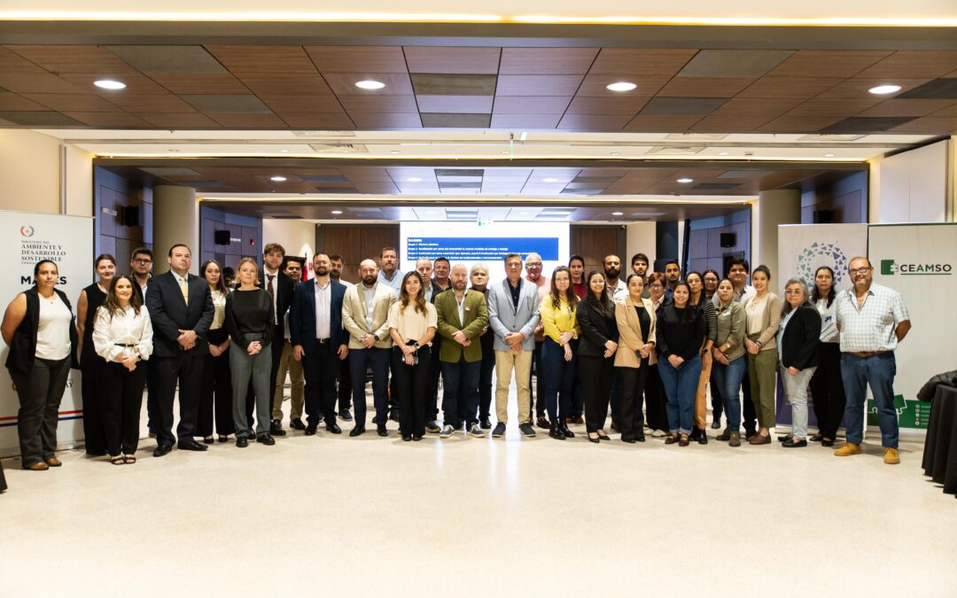 CABE participa en la reunión del Grupo Asesor de Métricas (MAG3) para avanzar en la Hoja de Ruta sobre plásticos en Paraguay